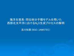 Marine N 2 O isotopomer box model