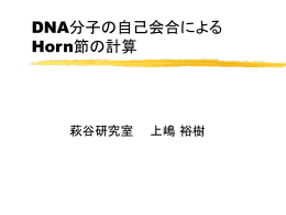 DNA分子の自己会合による Horn節の計算