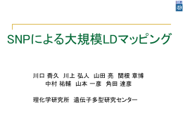 PPTファイル