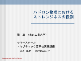 ハドロン物理におけるストレンジネスの役割