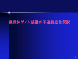 葉緑体ゲノム装置の不連続進化仮説