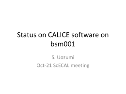 Status on CALICE software on bsm001