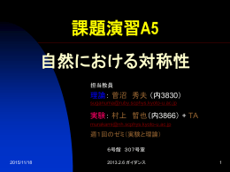 課題演習A5 自然における対称性