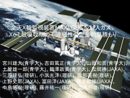 発表資料 (power point file)