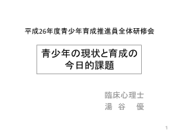 PPT：111KB