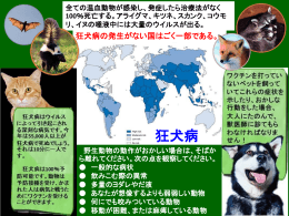 狂犬病