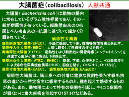 大腸菌症