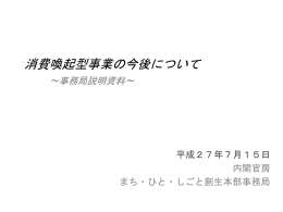 内閣府説明資料