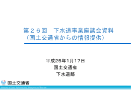 平成25年1月11日 閣議決定