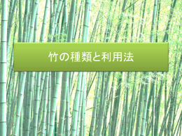 6班(竹の種類と利用法)