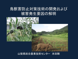 投影資料 - 山梨県