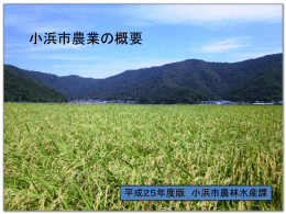 小浜市農業の概要 平成25年度版 小浜市農林水産課 小浜市の総農家