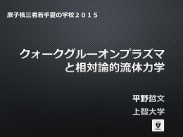 Physics of Relativistic Heavy Ion Collisions at LHC