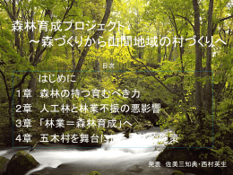 発表用データ