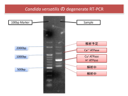 Candida versatilis****ATPase