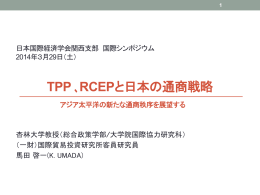 報告資料 - 日本国際経済学会