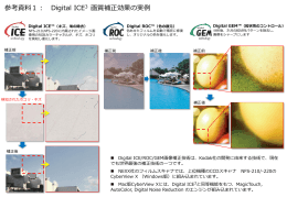 画像補正エンジンの実例 1 - Digital ICE 3 / Magic Touch (PPT)