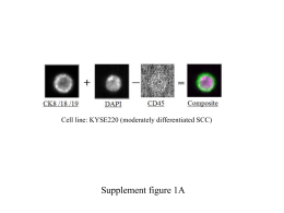 Supplement figure 1A Cell line: KYSE220 (moderately differentiated