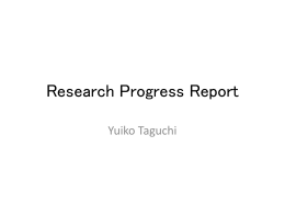 Research Progress Report