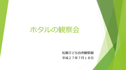 ホタルの観察会
