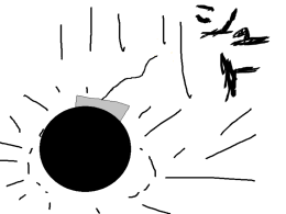 これをセレクトしたの？