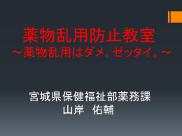 パワーポイント形式資料 [その他のファイル／9.79MB]