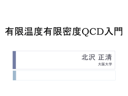 講義資料 - 原子核実験グループ