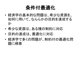 7.条件付最適化