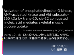 trans-10, cis-12共役リノレン酸によるPI3K、AMPK、AS160の活性化は