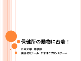 保健所の動物に密着！