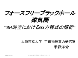 GS方程式の解析