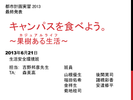 最終発表スライド  - 都市計画DocumentSV