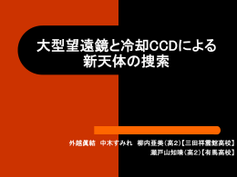 発表スライド（687KB）