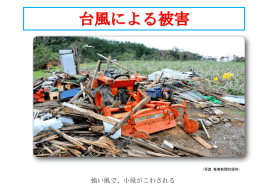 台風による被害 - 国土交通省 九州地方整備局