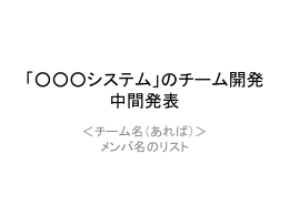 開発体制