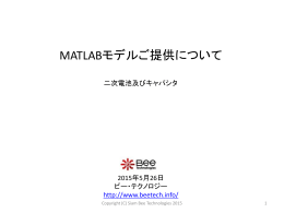 Lithium Ion Battery