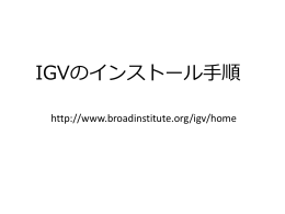 IGVのインストール手順