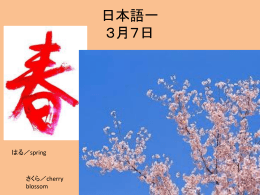 日本語一 3月7日 はる／spring さくら／cherry blossom 今しましょう