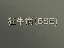 狂牛病（BSE)