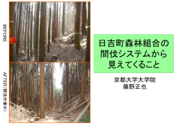 日吉町森林組合の間伐システムから見えてくること