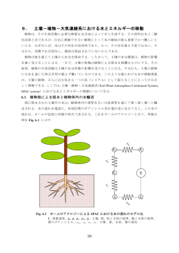 数理環境評価学
