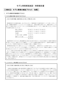 モデル事業の実施プロセス・効果 WORD