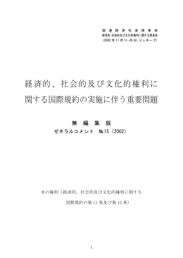経済的、社会的及び文化的権利に関する国際規約の実施に伴う重要問題