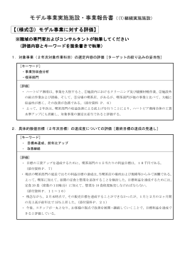モデル事業に対する職域の専門家・コンサルタント等の評価 WORD
