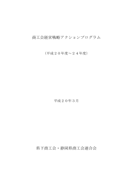 商工会・商工会議所新世紀活性化アクションプログラムの検証