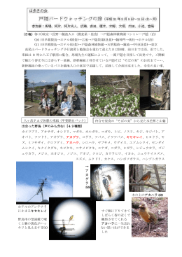 2009年5月
