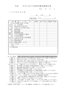 活動実績報告書