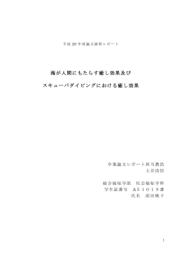 前田桃子 海が人間にもたらす癒し効果及びスキューバダイビングにおける