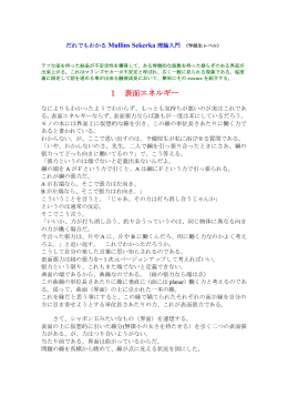 Mullins-Sekerka理論入門：学部生向けのわかりやすい解説