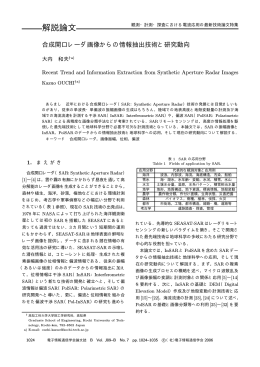 合成開口レーダ画像からの情報抽出技術と研究動向